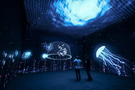 Projection-Mapping